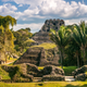 Mayan Temple
